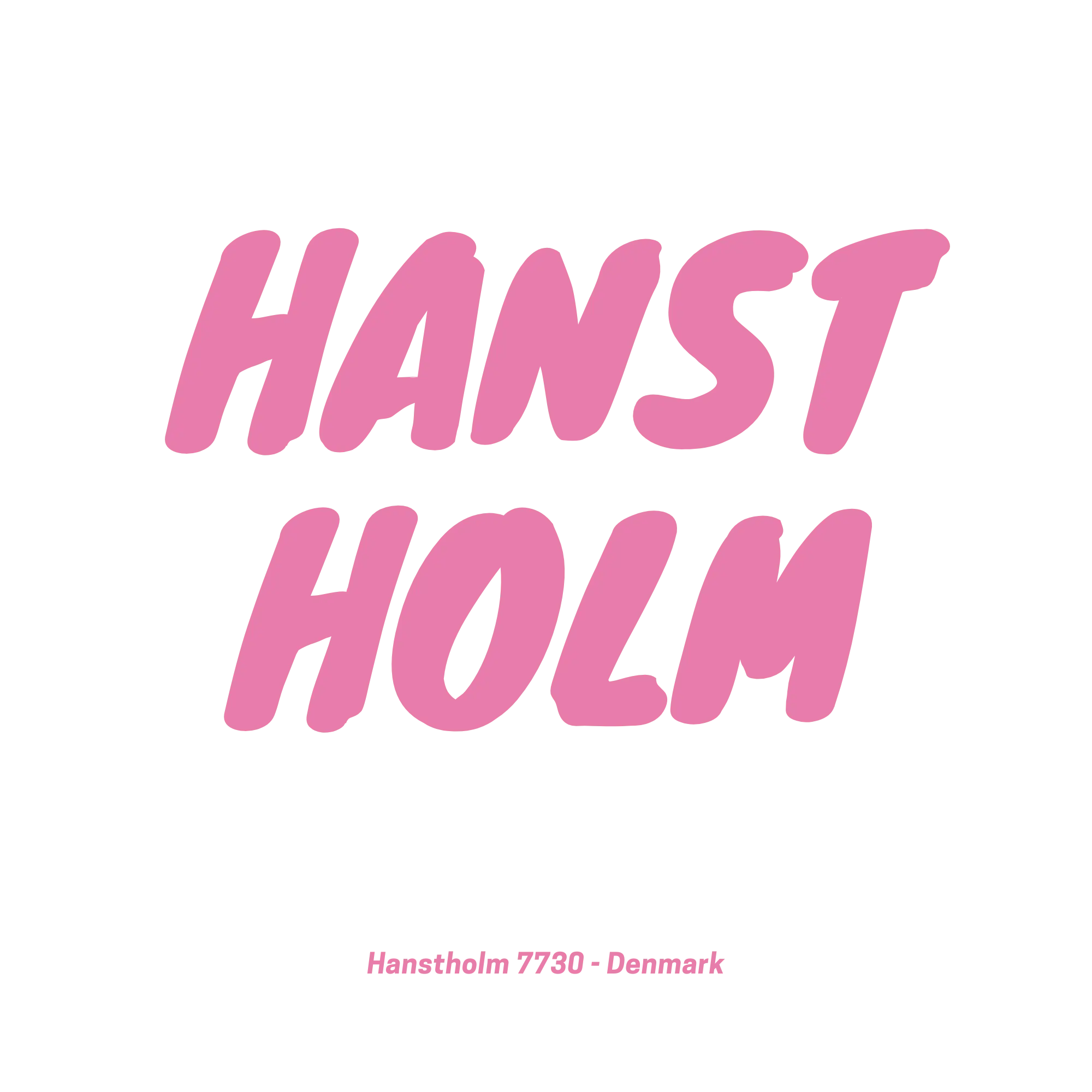 Hanstholm webshop billede