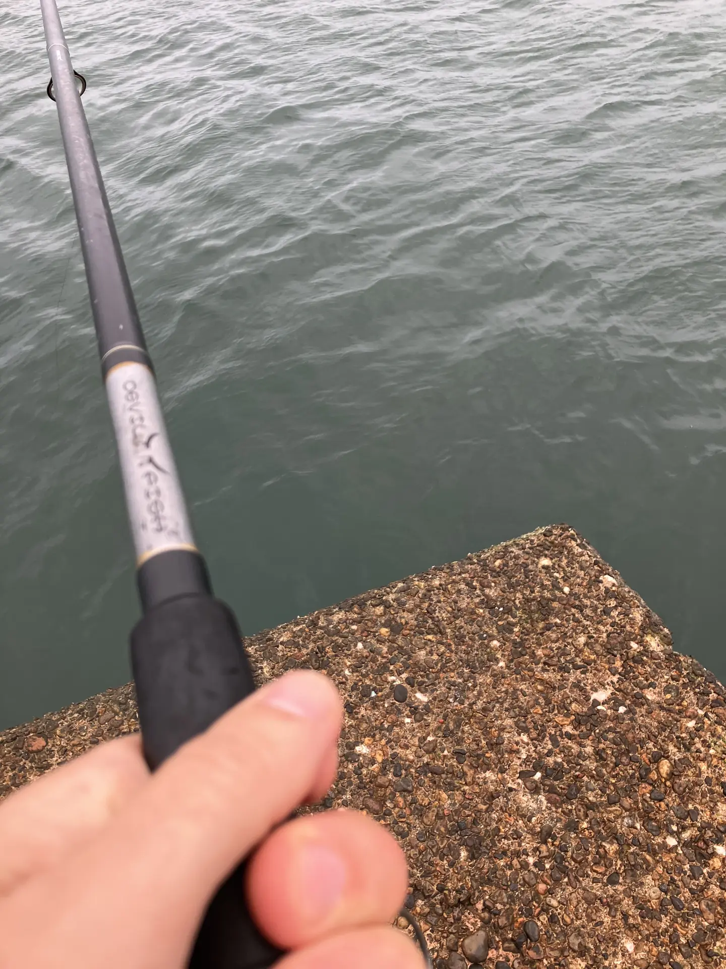 Fiskestang mod molen i Hanstholm Havn