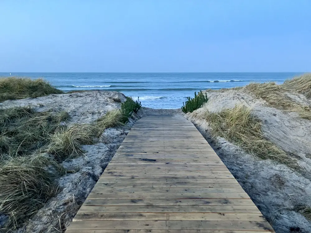 Træsti gennem klitterne ned til stranden